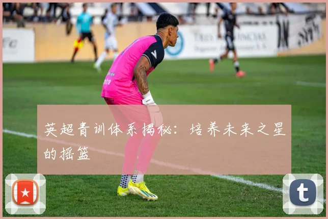 英超青训体系揭秘：培养未来之星的摇篮