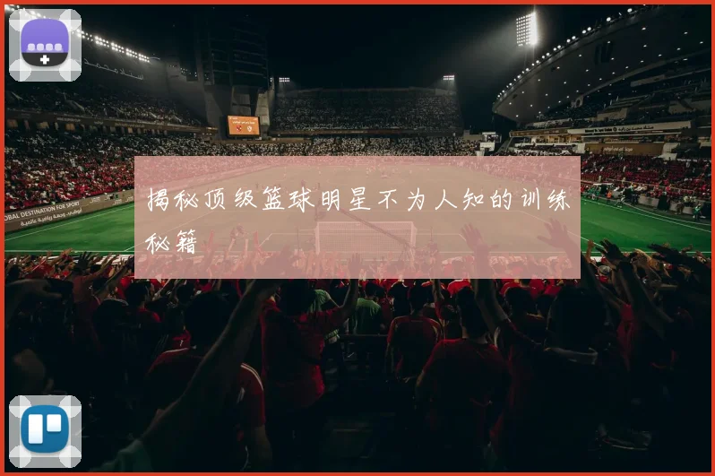 揭秘顶级篮球明星不为人知的训练秘籍